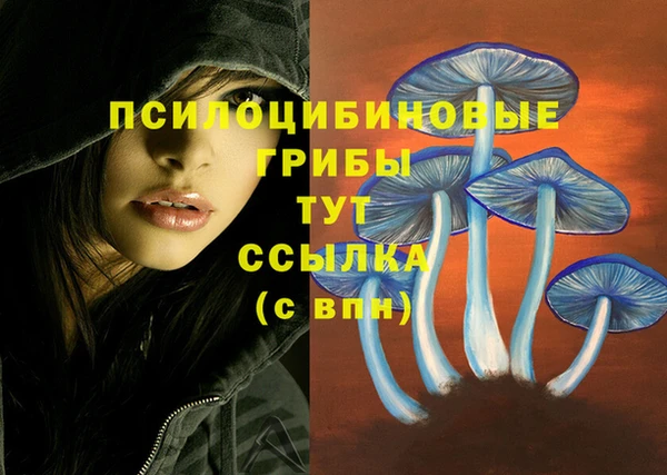 каннабис Горнозаводск