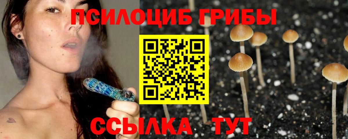 Псилоцибиновые грибы Psilocybe  Вход с VPN  Наро-Фоминск  Галлюциногенные грибы GOLDEN TEACHER 