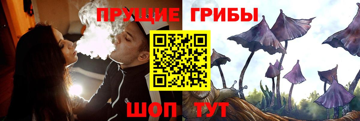 Галлюциногенные грибы Psilocybine cubensis Наро-Фоминск